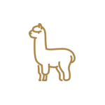 International Genetics
