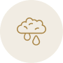 Weather