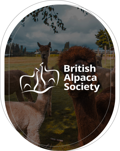 British Alpaca Society Affiliate Trainers